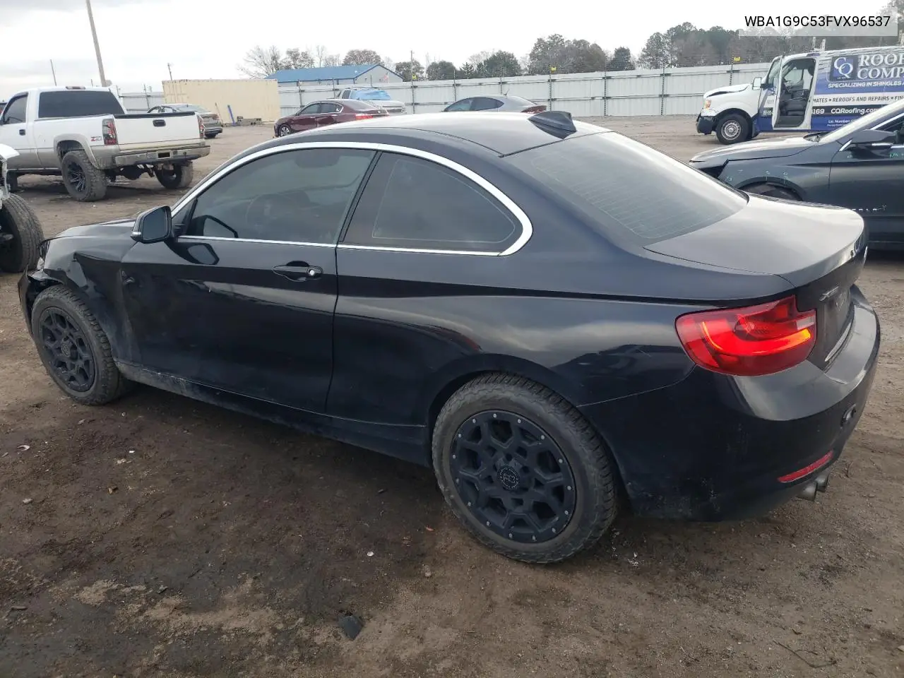 2015 BMW 228 Xi Sulev VIN: WBA1G9C53FVX96537 Lot: 43389595