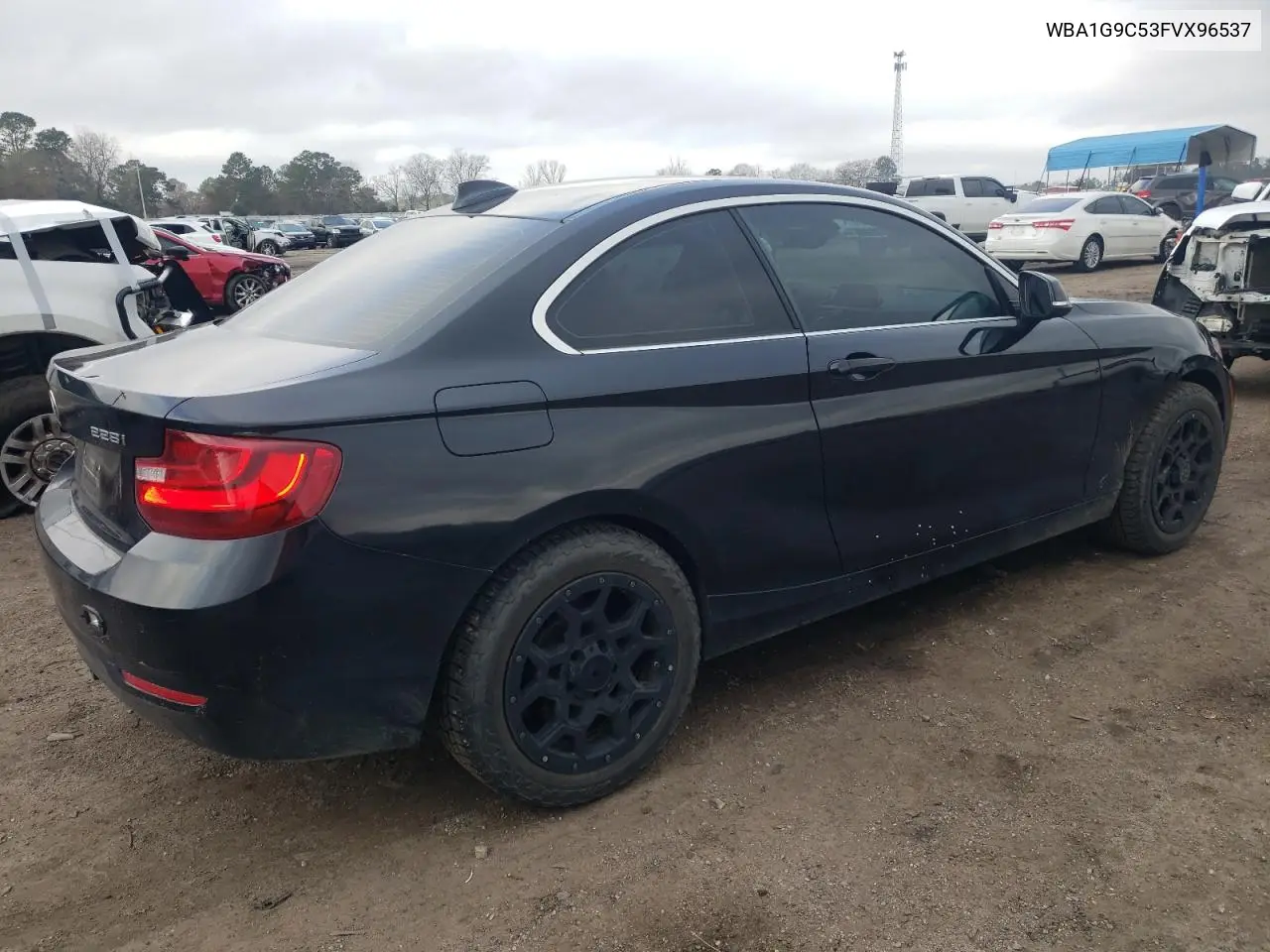2015 BMW 228 Xi Sulev VIN: WBA1G9C53FVX96537 Lot: 43389595