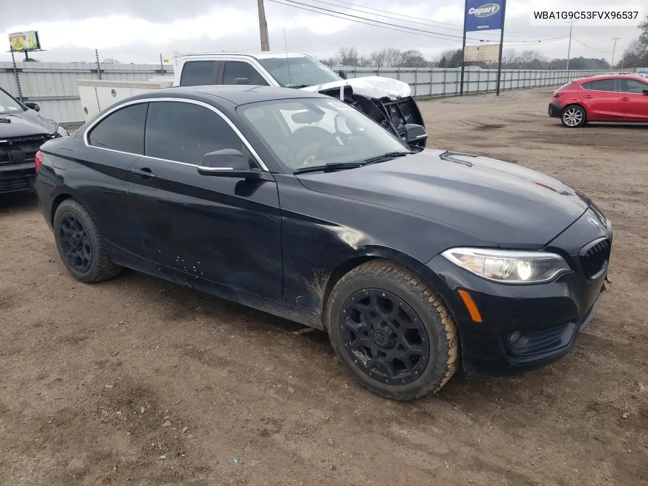 2015 BMW 228 Xi Sulev VIN: WBA1G9C53FVX96537 Lot: 43389595
