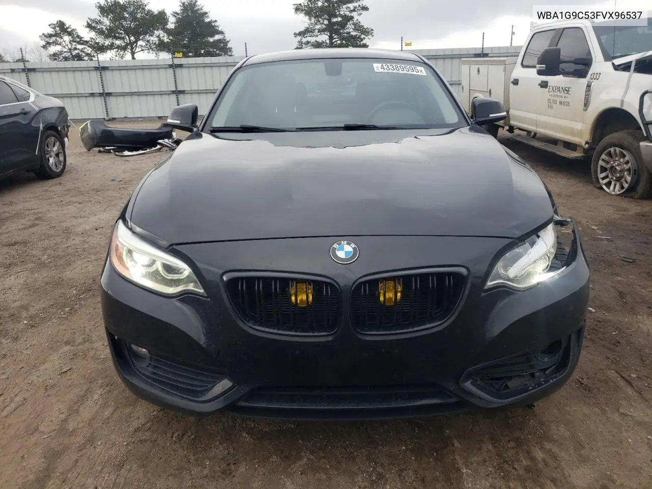 2015 BMW 228 Xi Sulev VIN: WBA1G9C53FVX96537 Lot: 43389595