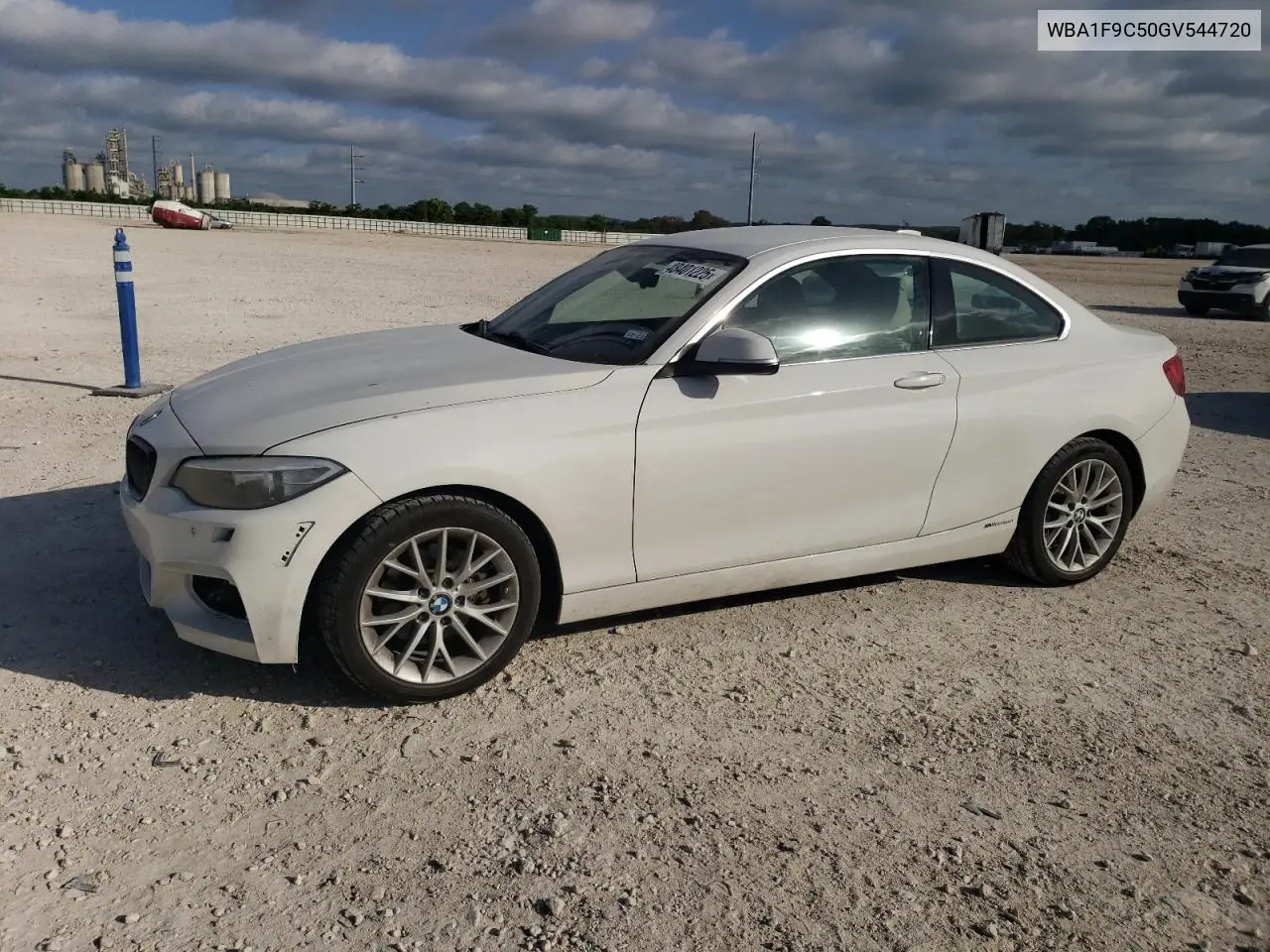 2016 BMW 228 I Sulev VIN: WBA1F9C50GV544720 Lot: 48401225