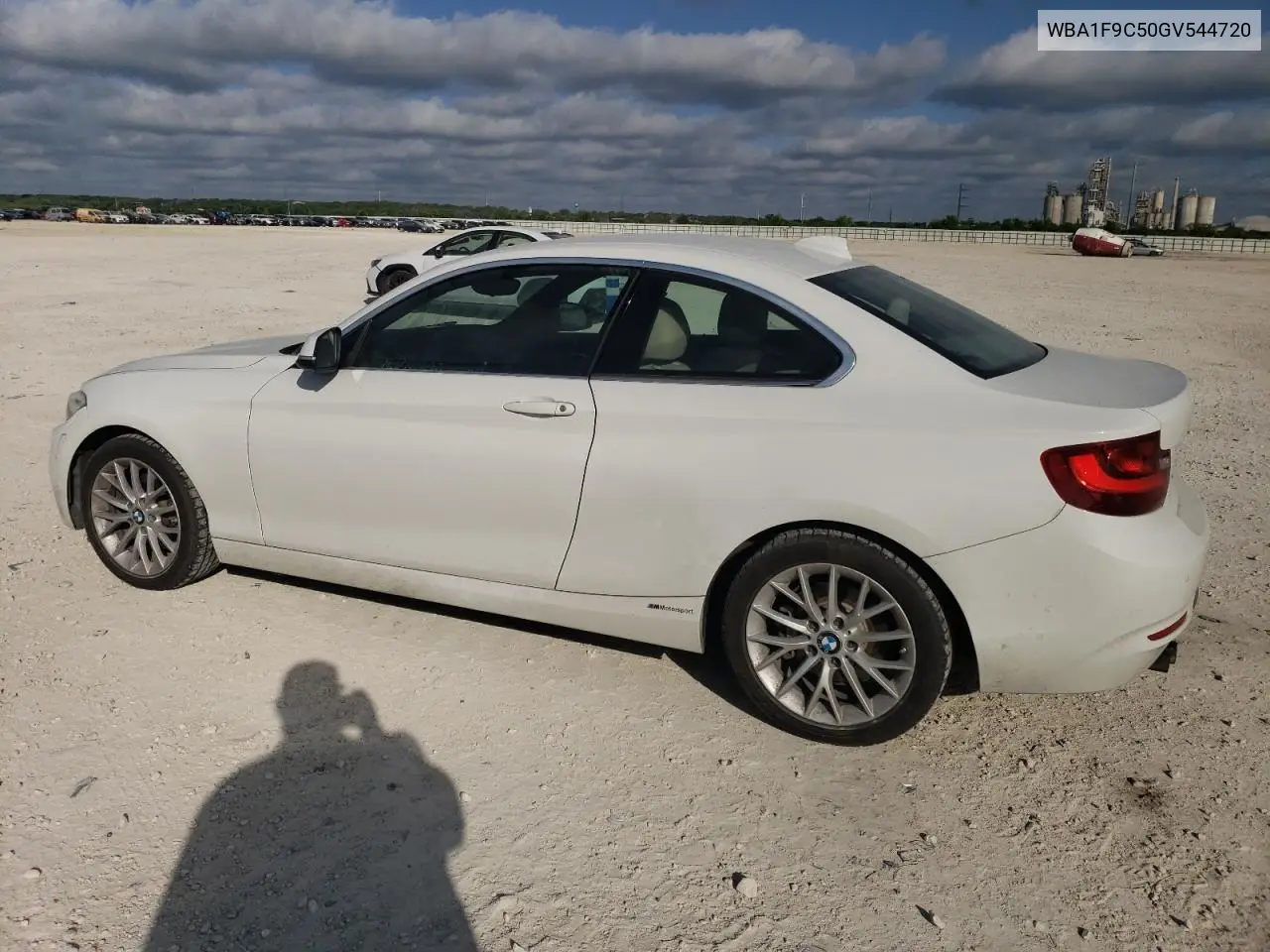 2016 BMW 228 I Sulev VIN: WBA1F9C50GV544720 Lot: 48401225
