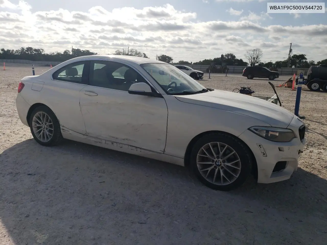 2016 BMW 228 I Sulev VIN: WBA1F9C50GV544720 Lot: 48401225