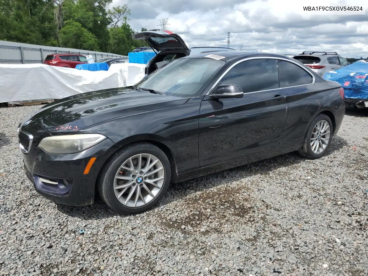 2016 BMW 228 I Sulev VIN: WBA1F9C5XGV546524 Lot: 56698965