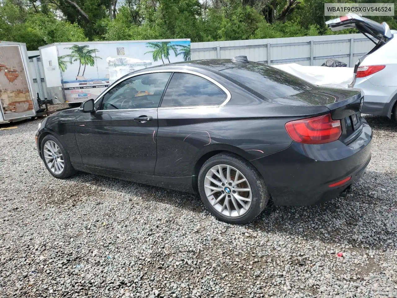 2016 BMW 228 I Sulev VIN: WBA1F9C5XGV546524 Lot: 56698965