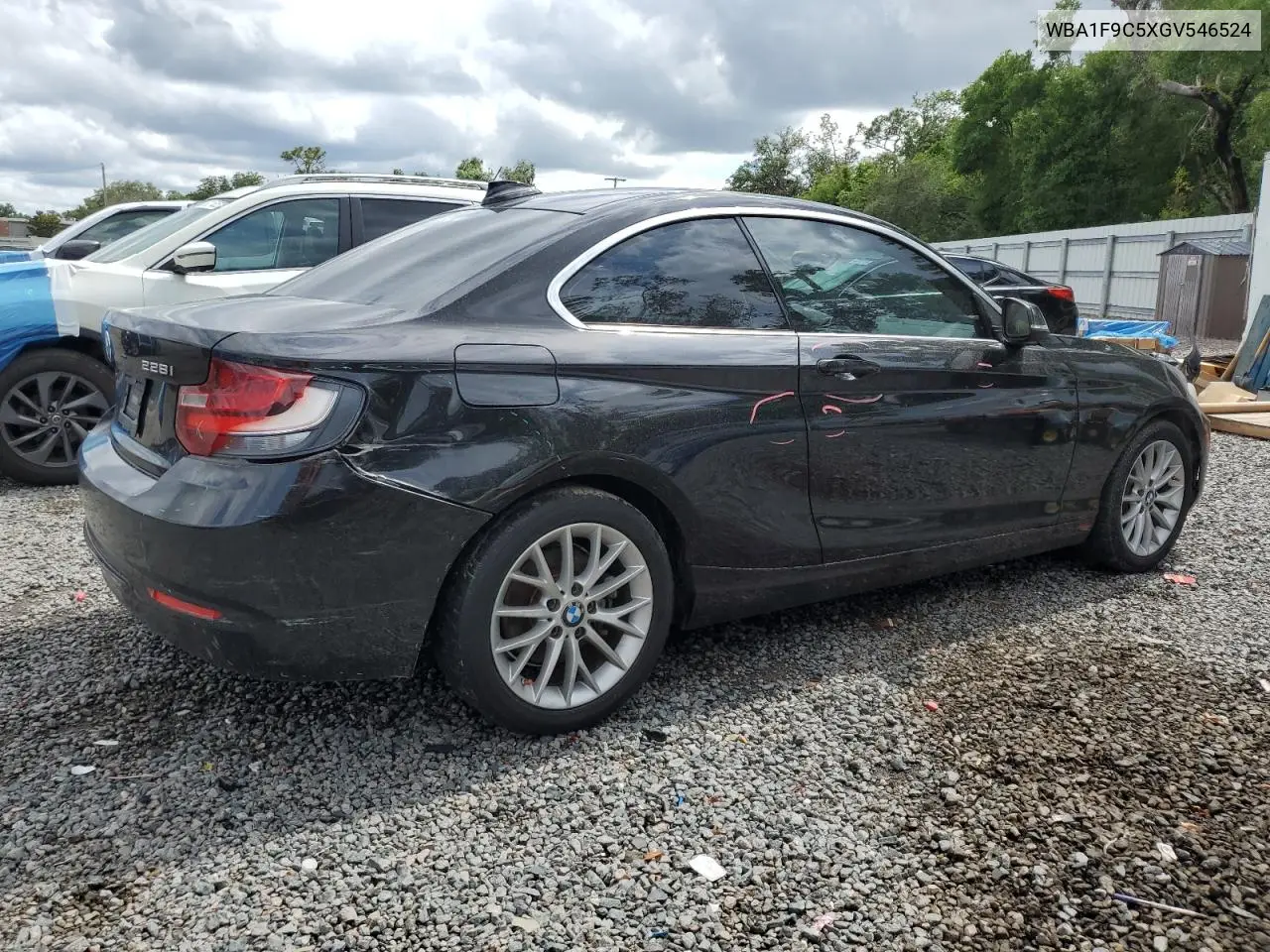2016 BMW 228 I Sulev VIN: WBA1F9C5XGV546524 Lot: 56698965