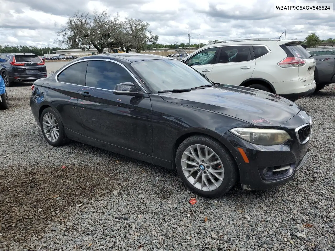 2016 BMW 228 I Sulev VIN: WBA1F9C5XGV546524 Lot: 56698965
