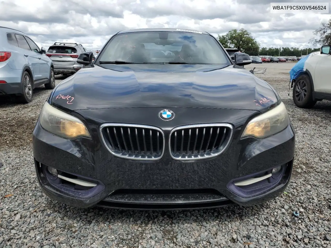 2016 BMW 228 I Sulev VIN: WBA1F9C5XGV546524 Lot: 56698965