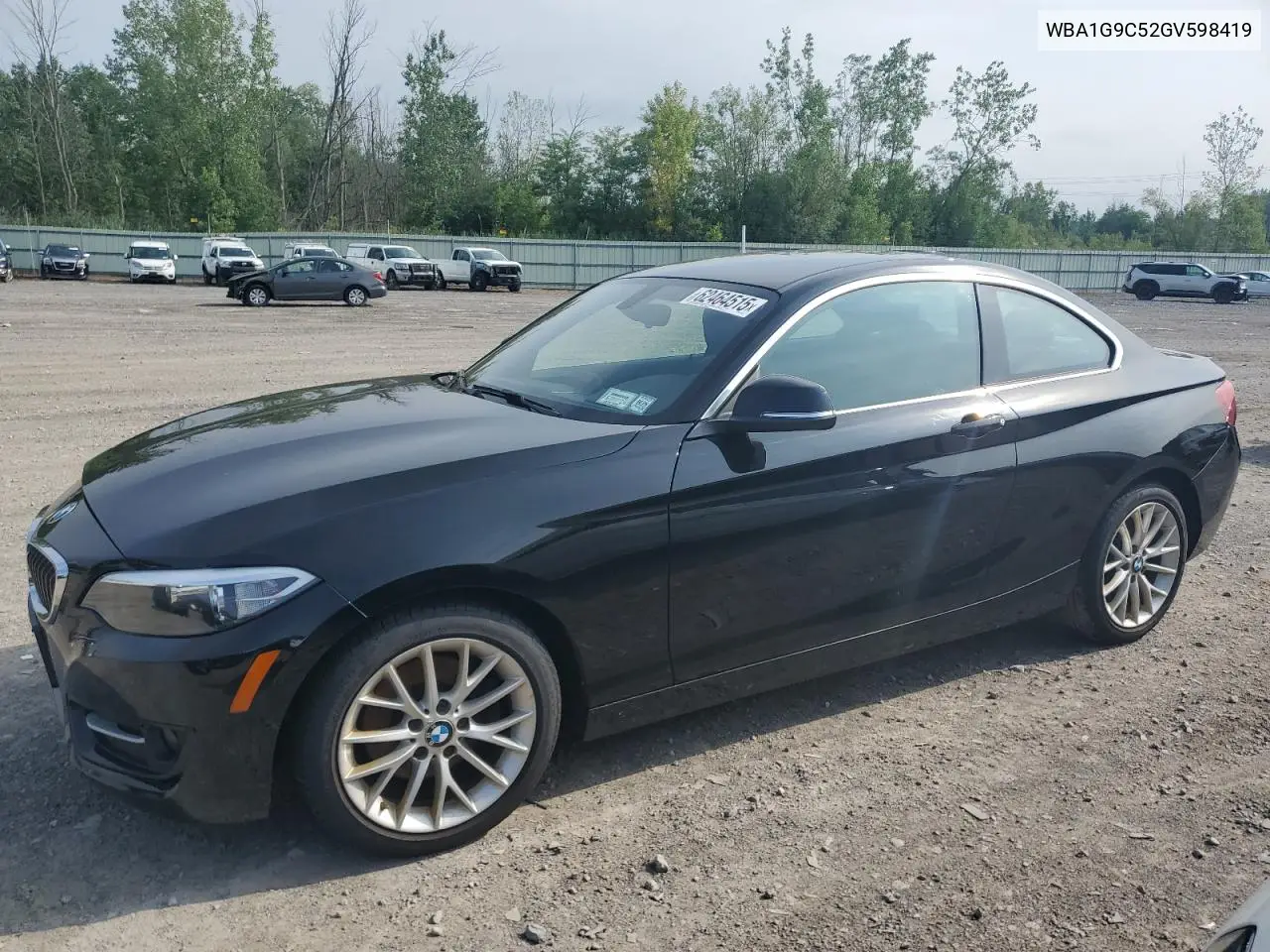 2016 BMW 228 Xi Sulev VIN: WBA1G9C52GV598419 Lot: 62464515