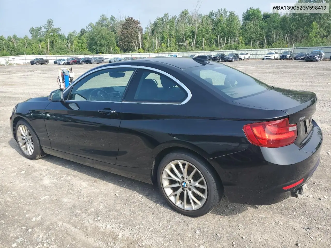 2016 BMW 228 Xi Sulev VIN: WBA1G9C52GV598419 Lot: 62464515