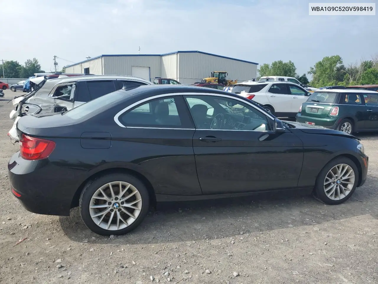 2016 BMW 228 Xi Sulev VIN: WBA1G9C52GV598419 Lot: 62464515