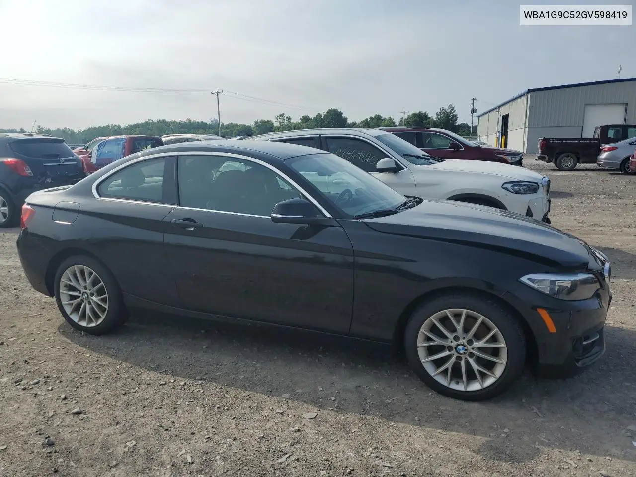 2016 BMW 228 Xi Sulev VIN: WBA1G9C52GV598419 Lot: 62464515