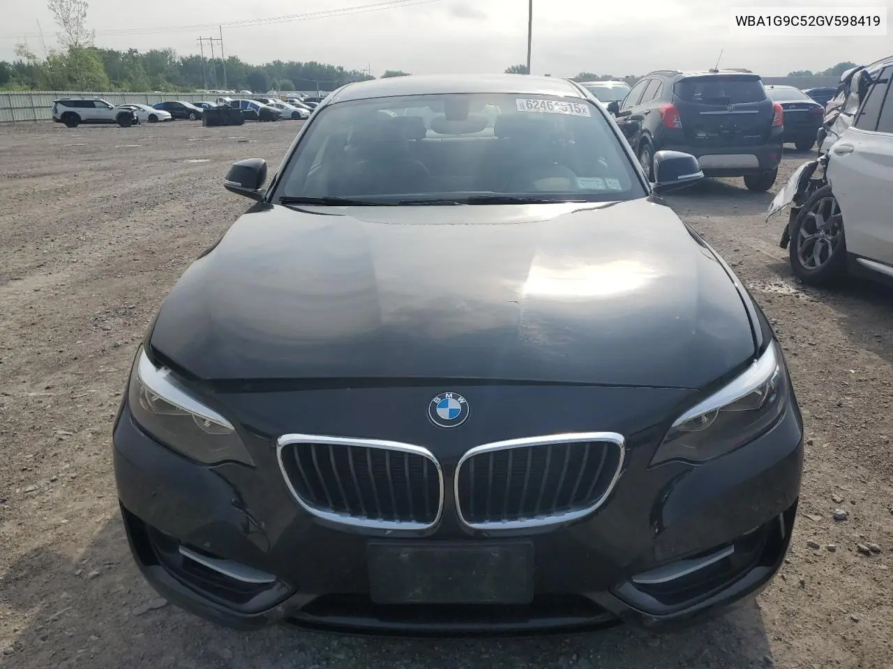 2016 BMW 228 Xi Sulev VIN: WBA1G9C52GV598419 Lot: 62464515