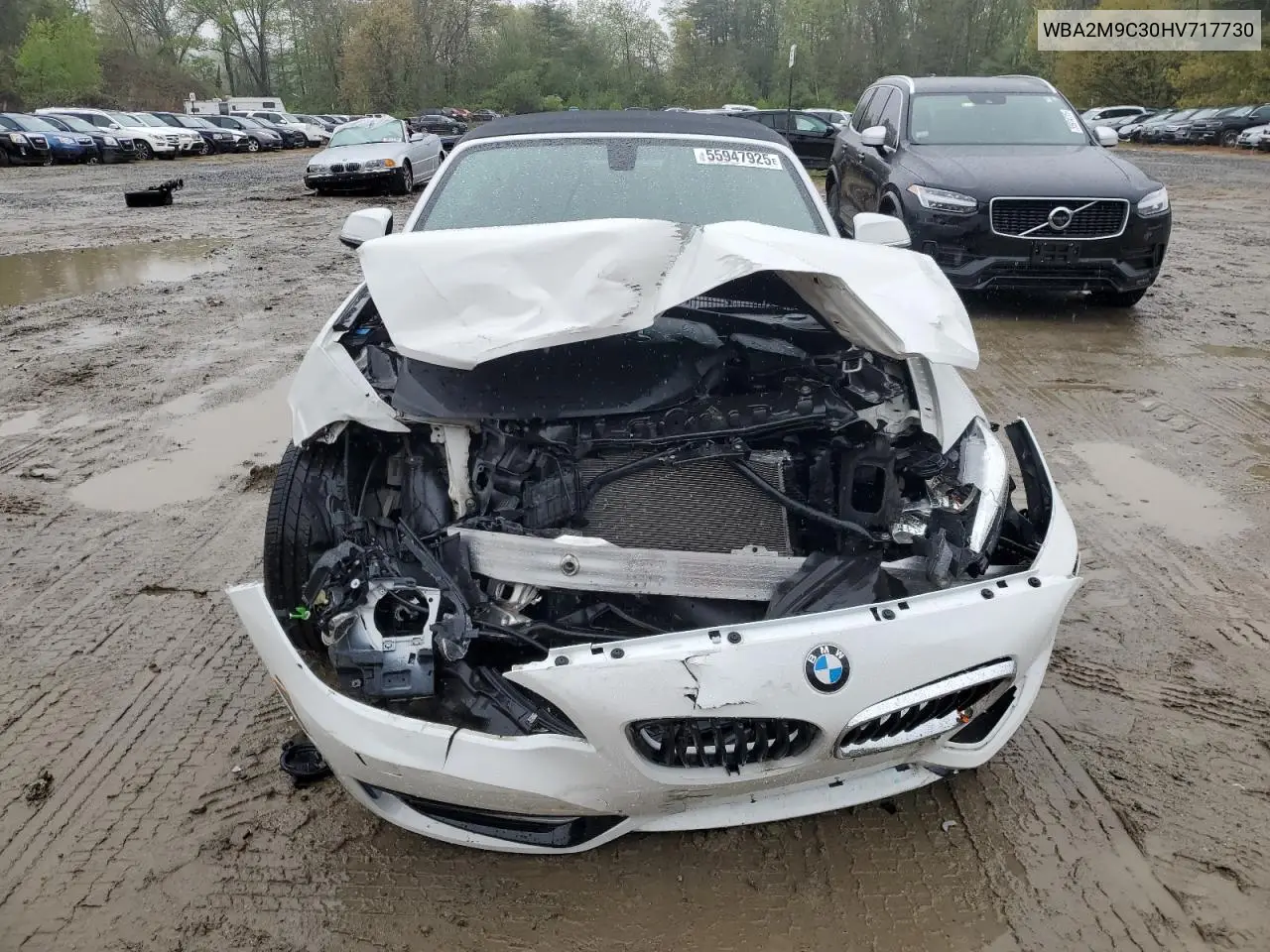 2017 BMW 230Xi VIN: WBA2M9C30HV717730 Lot: 55947925