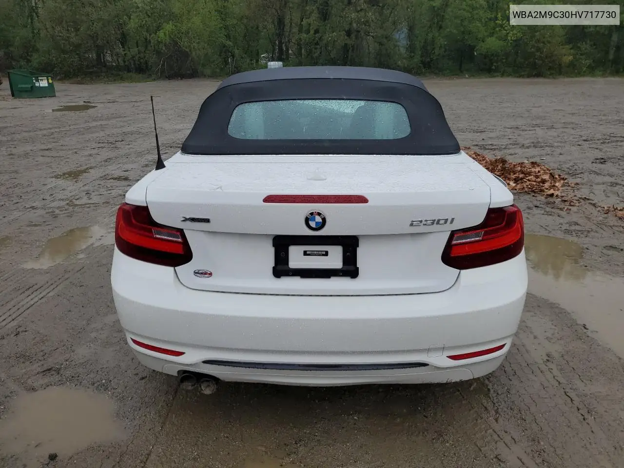 2017 BMW 230Xi VIN: WBA2M9C30HV717730 Lot: 55947925