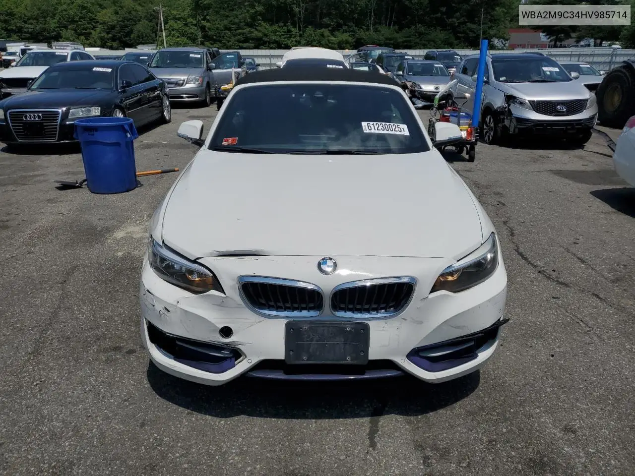 2017 BMW 230Xi VIN: WBA2M9C34HV985714 Lot: 61230025