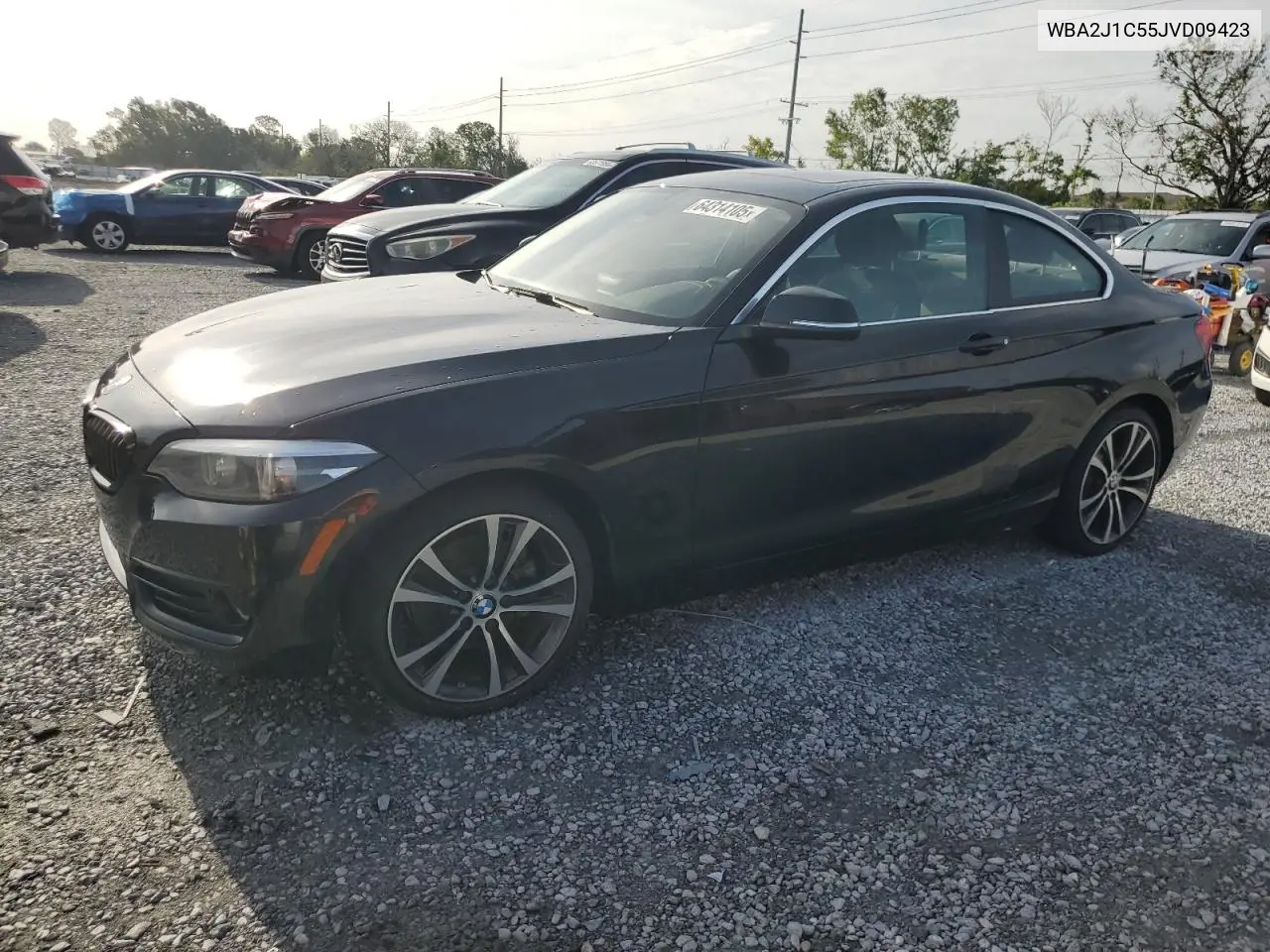 2018 BMW 230I VIN: WBA2J1C55JVD09423 Lot: 64314105