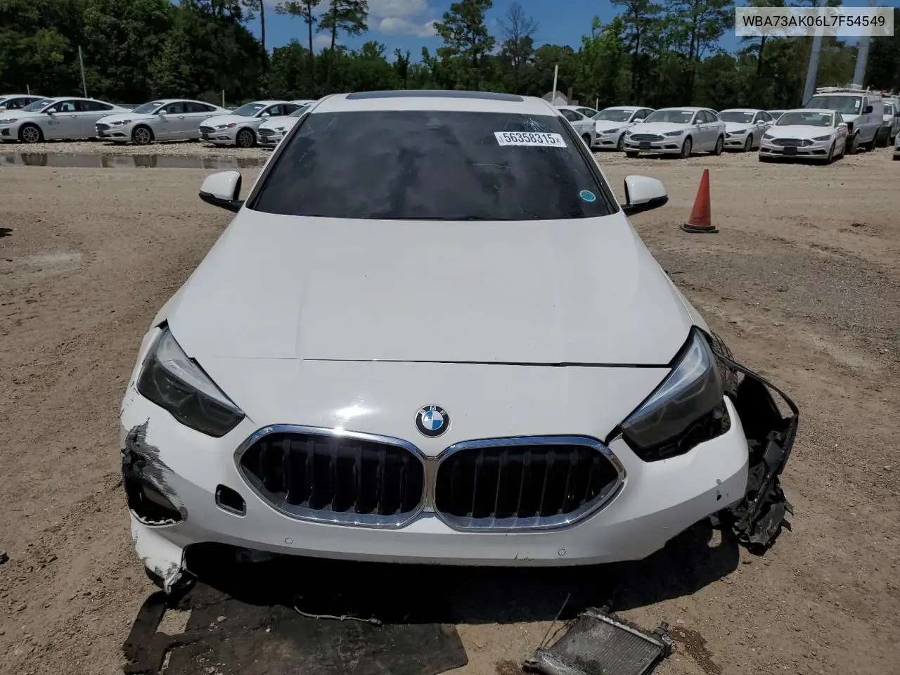 2020 BMW 228Xi VIN: WBA73AK06L7F54549 Lot: 56358315