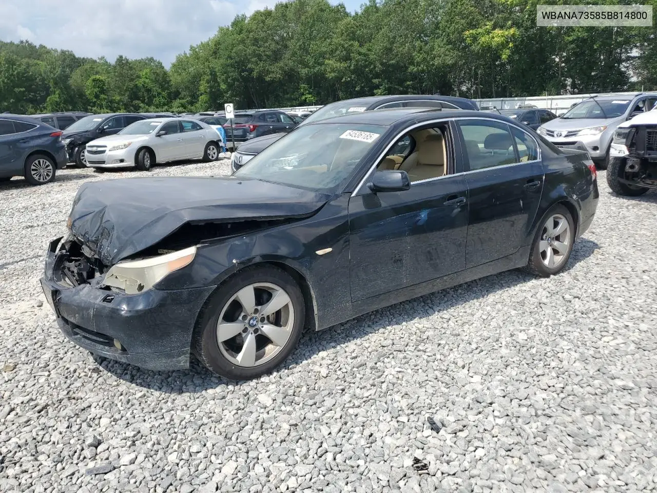 2005 BMW 530 I VIN: WBANA73585B814800 Lot: 64536185