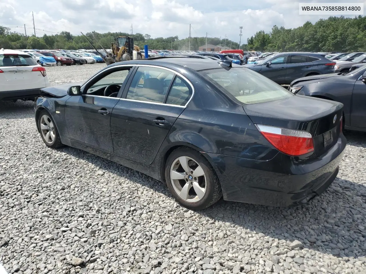 2005 BMW 530 I VIN: WBANA73585B814800 Lot: 64536185