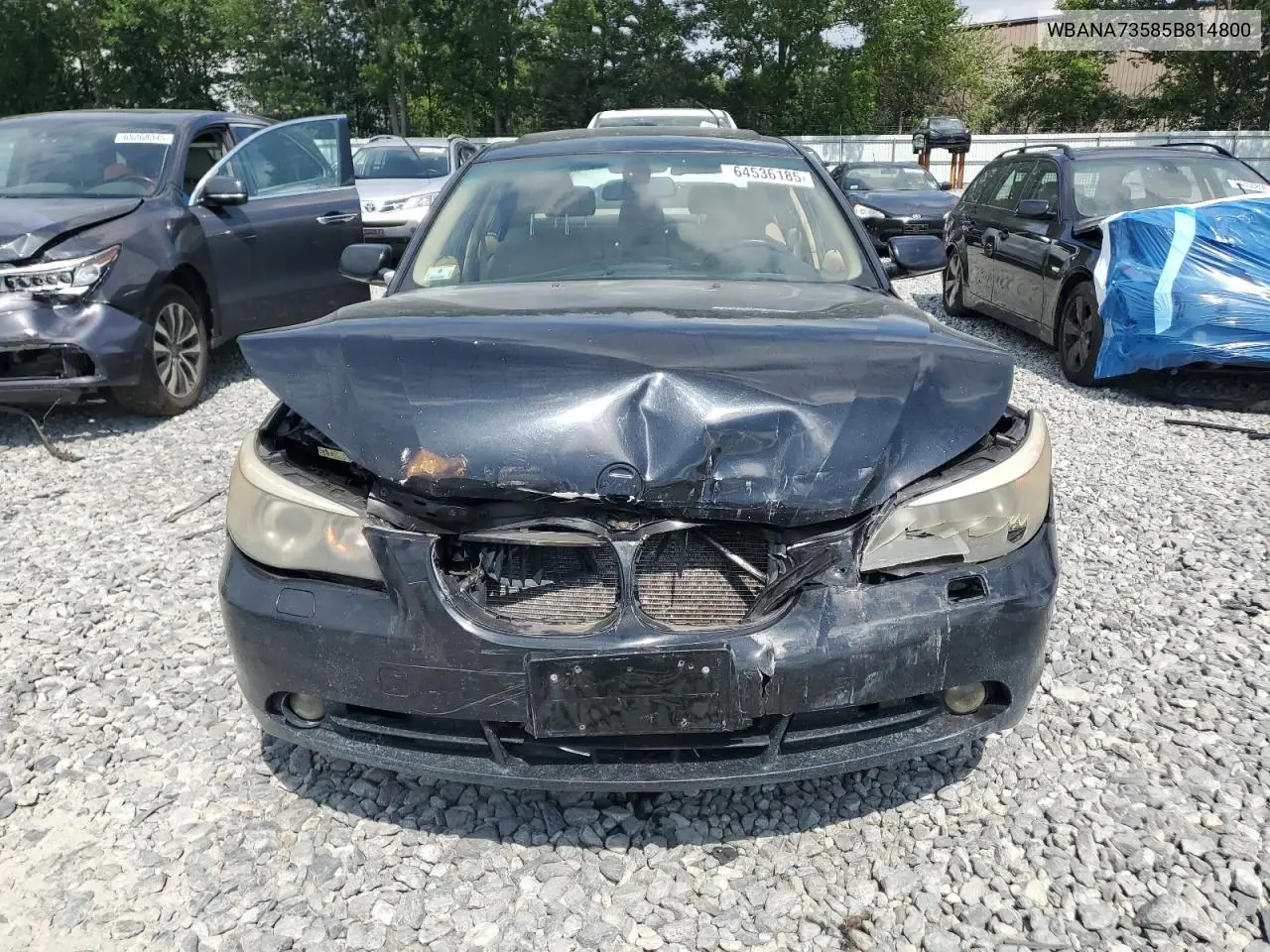 2005 BMW 530 I VIN: WBANA73585B814800 Lot: 64536185