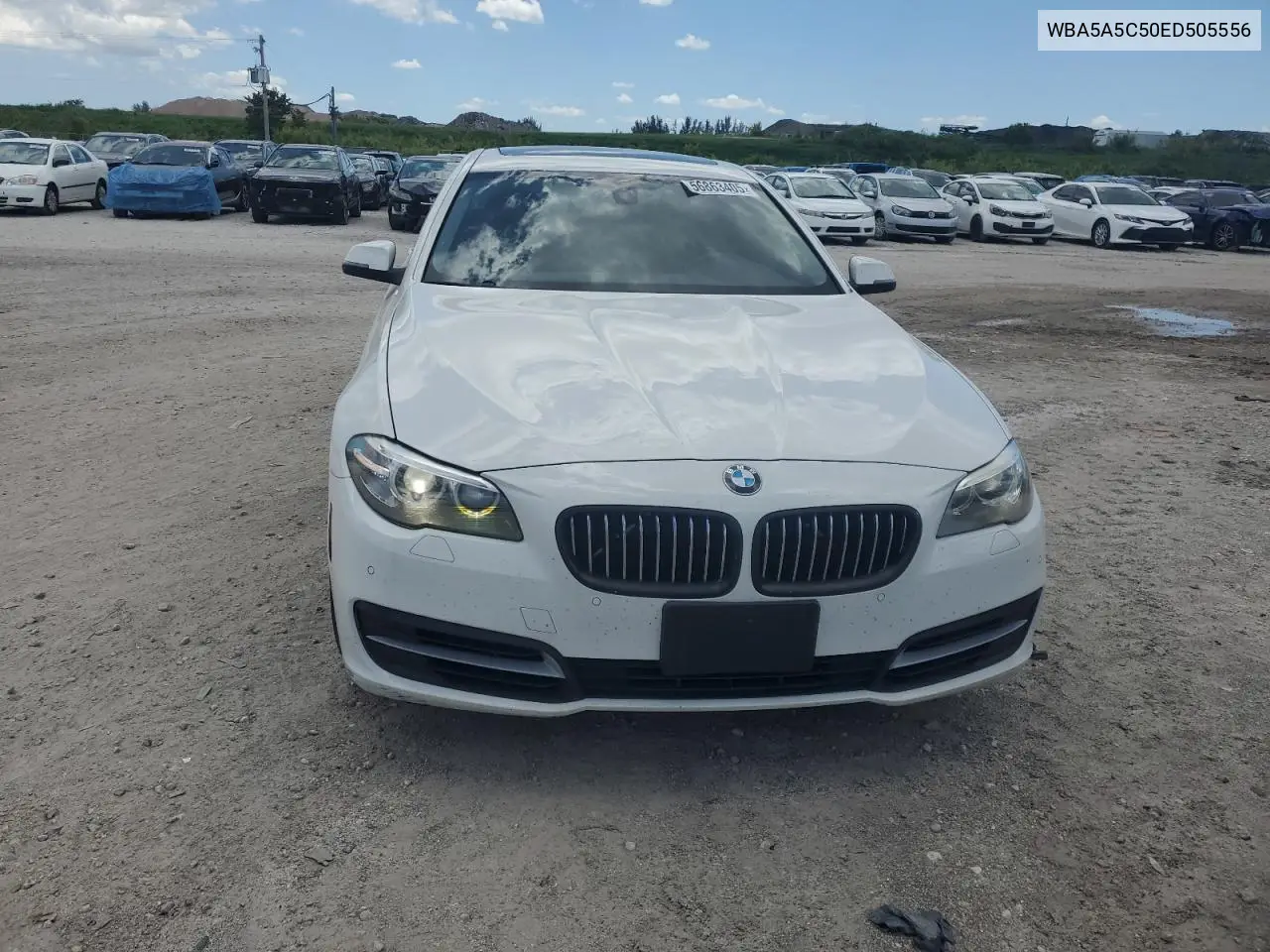 2014 BMW 528 I VIN: WBA5A5C50ED505556 Lot: 56863405