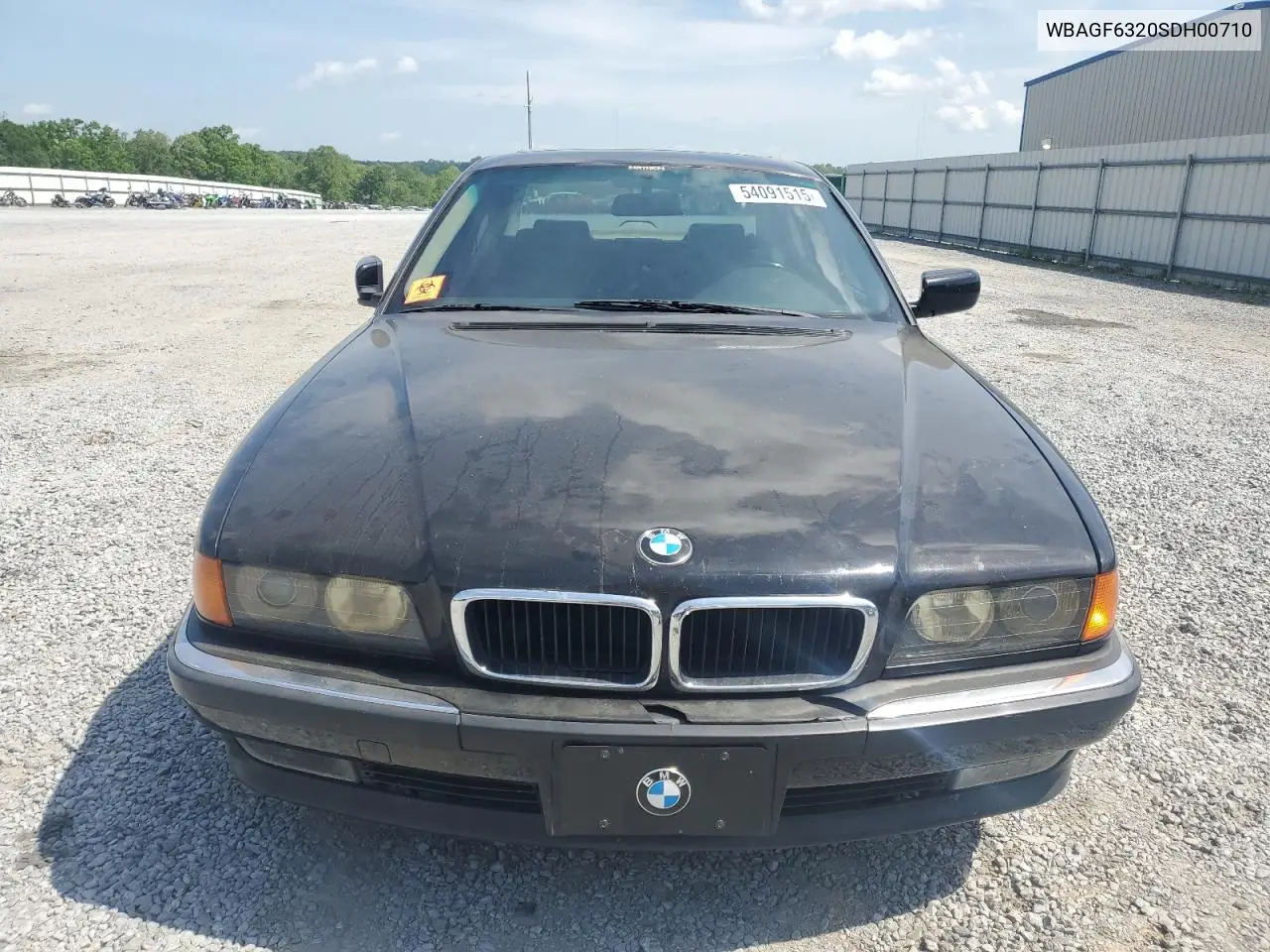 1995 BMW 740 I Automatic VIN: WBAGF6320SDH00710 Lot: 54091515