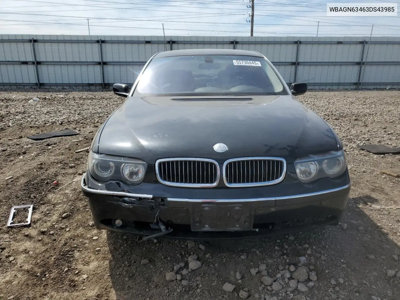 2003 BMW 745 Li VIN: WBAGN63463DS43985 Lot: 55730445