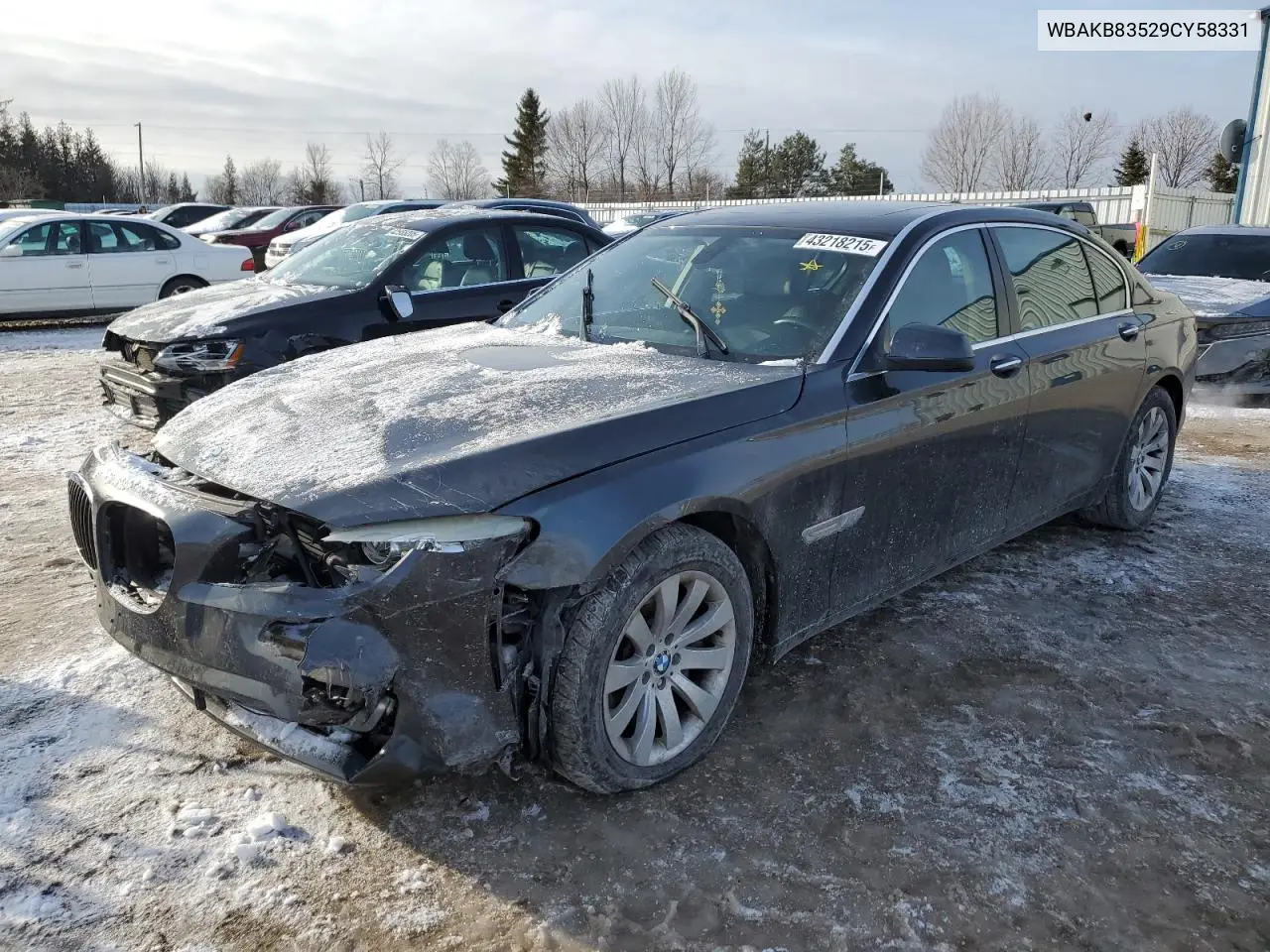 2009 BMW 750 Li VIN: WBAKB83529CY58331 Lot: 43218215