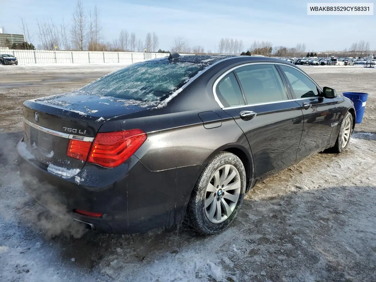 2009 BMW 750 Li VIN: WBAKB83529CY58331 Lot: 43218215
