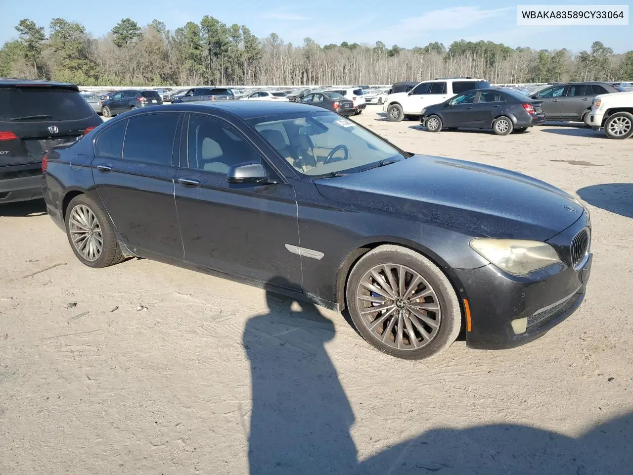 2009 BMW 750 I VIN: WBAKA83589CY33064 Lot: 47384845