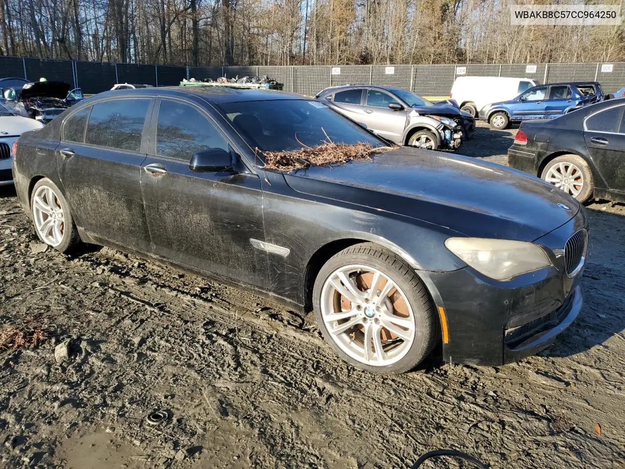2012 BMW 750 Li VIN: WBAKB8C57CC964250 Lot: 41450935