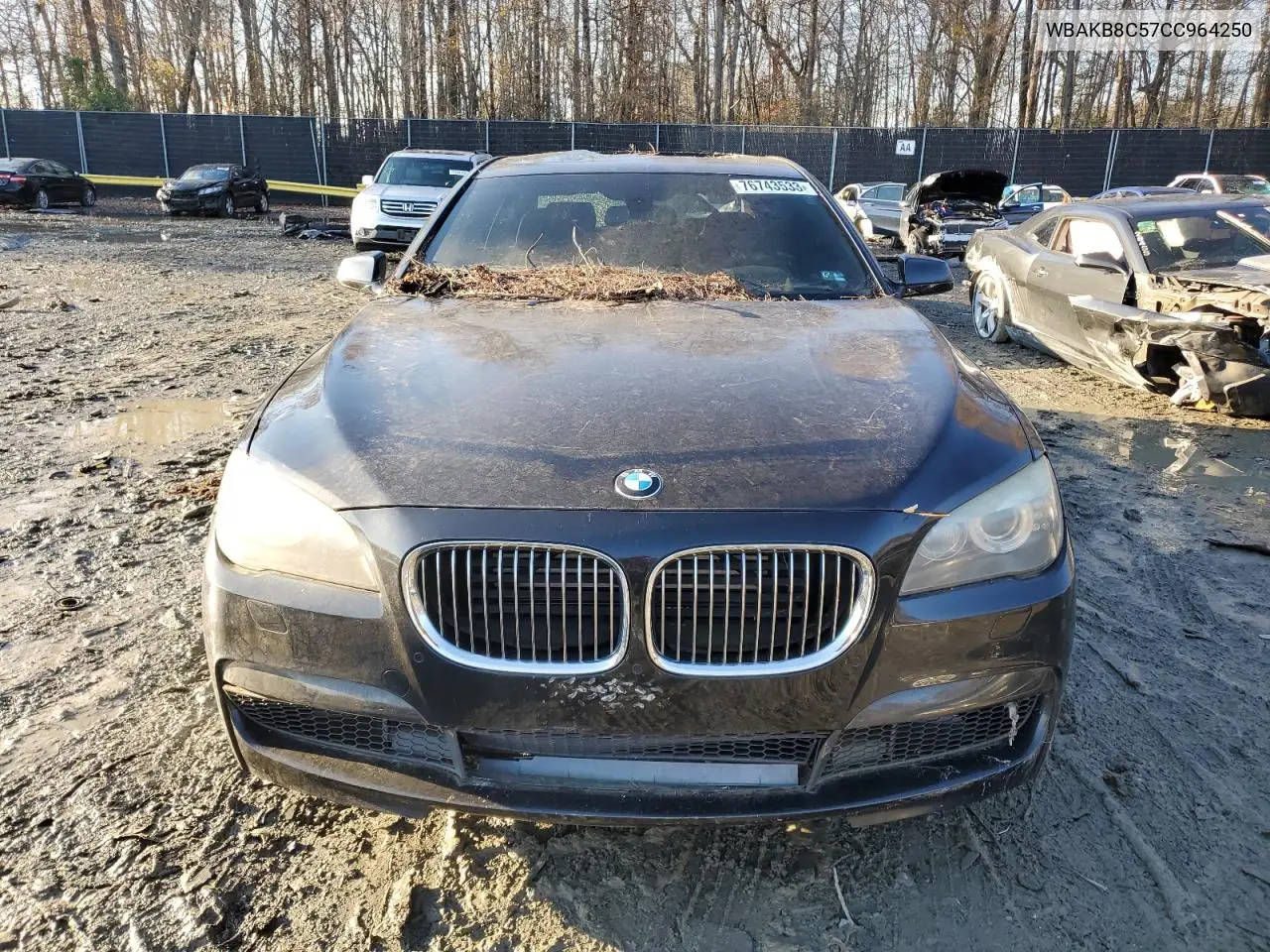 2012 BMW 750 Li VIN: WBAKB8C57CC964250 Lot: 41450935