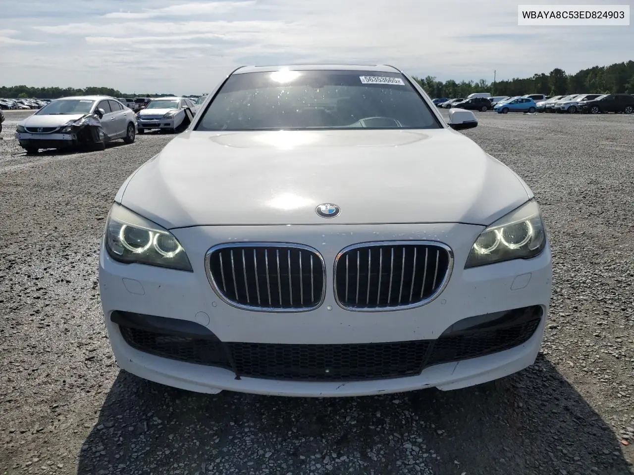 2014 BMW 750 I VIN: WBAYA8C53ED824903 Lot: 56353665