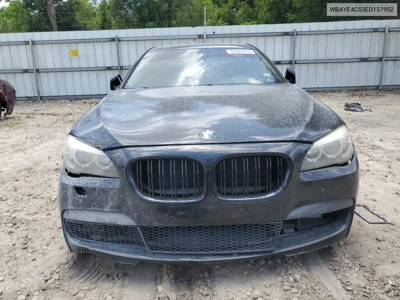 2014 BMW 740 Li VIN: WBAYE4C53ED137952 Lot: 62829515