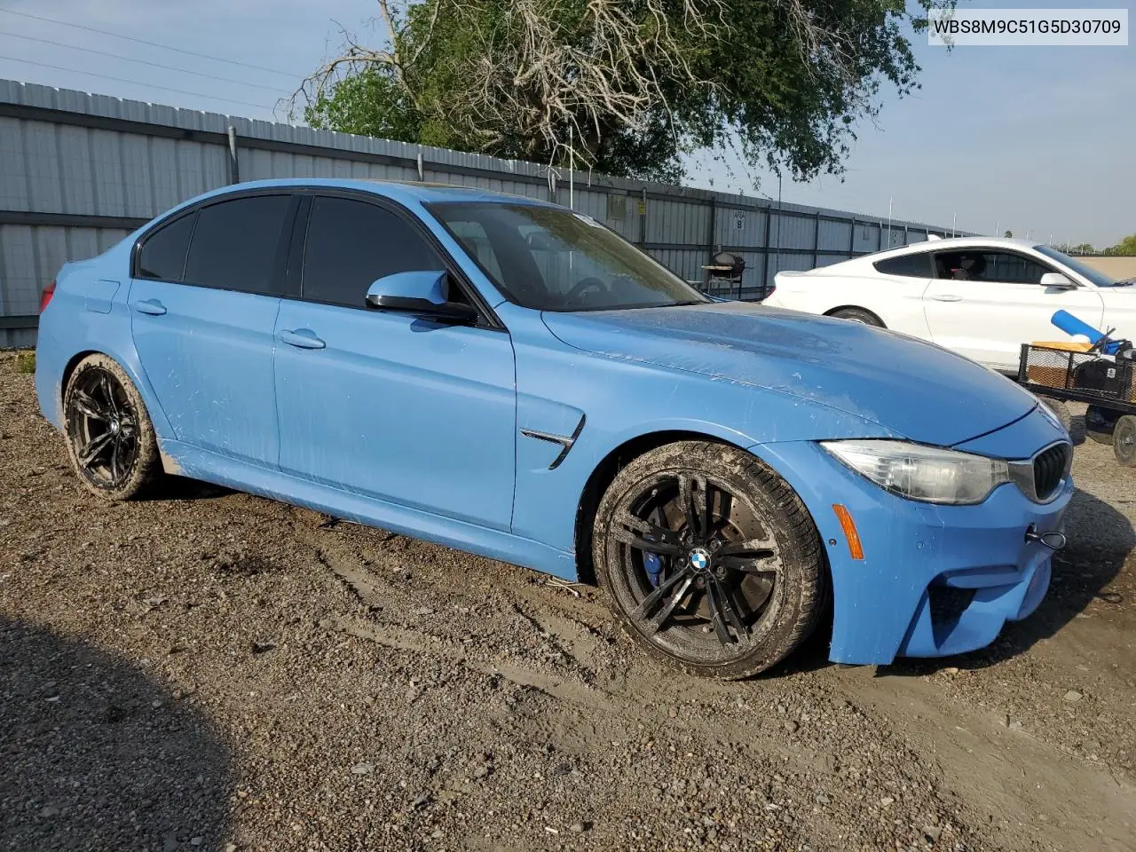 2016 BMW M3 VIN: WBS8M9C51G5D30709 Lot: 51336775