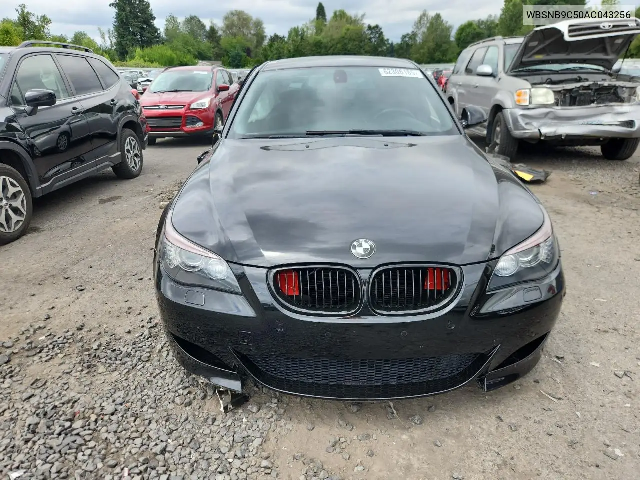 2010 BMW M5 VIN: WBSNB9C50AC043256 Lot: 62306185