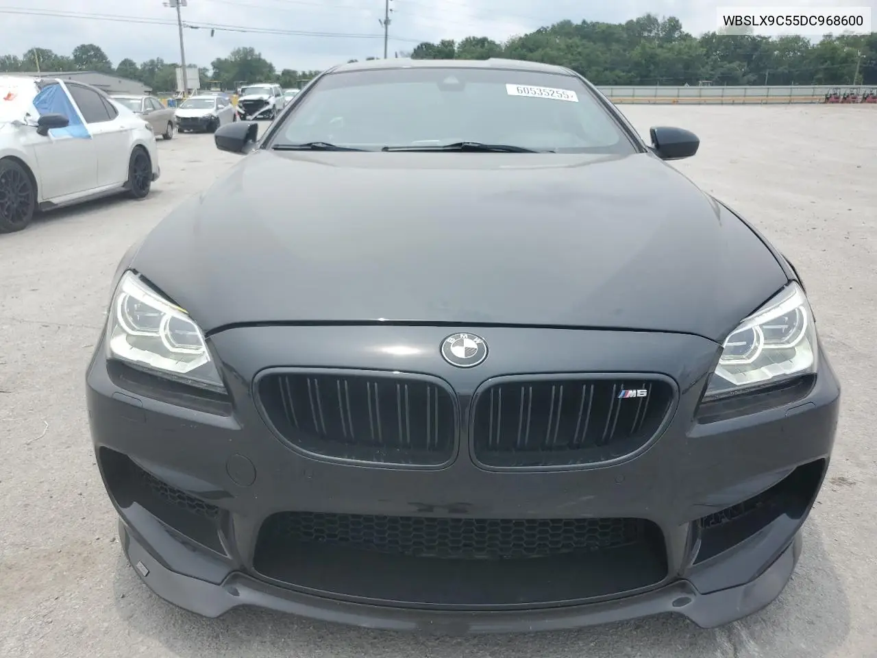 2013 BMW M6 VIN: WBSLX9C55DC968600 Lot: 60535255