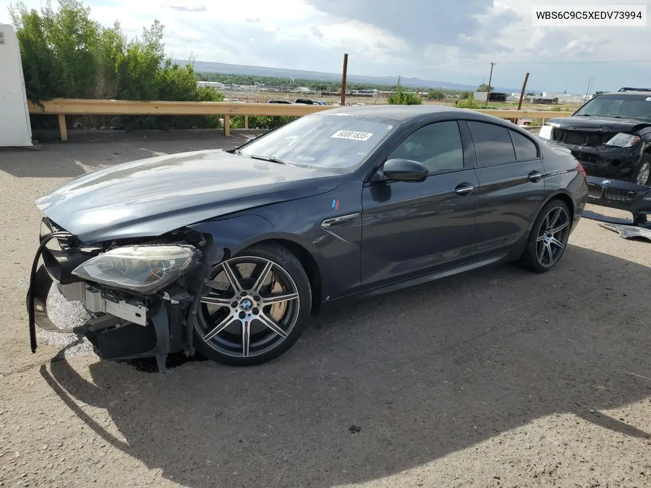 2014 BMW M6 Gran Coupe VIN: WBS6C9C5XEDV73994 Lot: 60001835