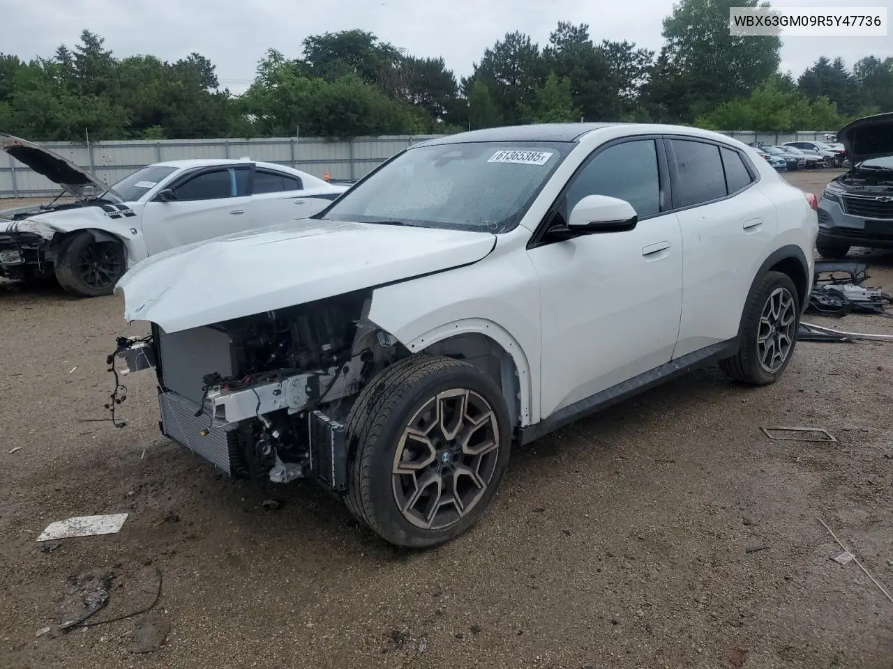 2024 BMW X2 xDrive28I VIN: WBX63GM09R5Y47736 Lot: 61365385