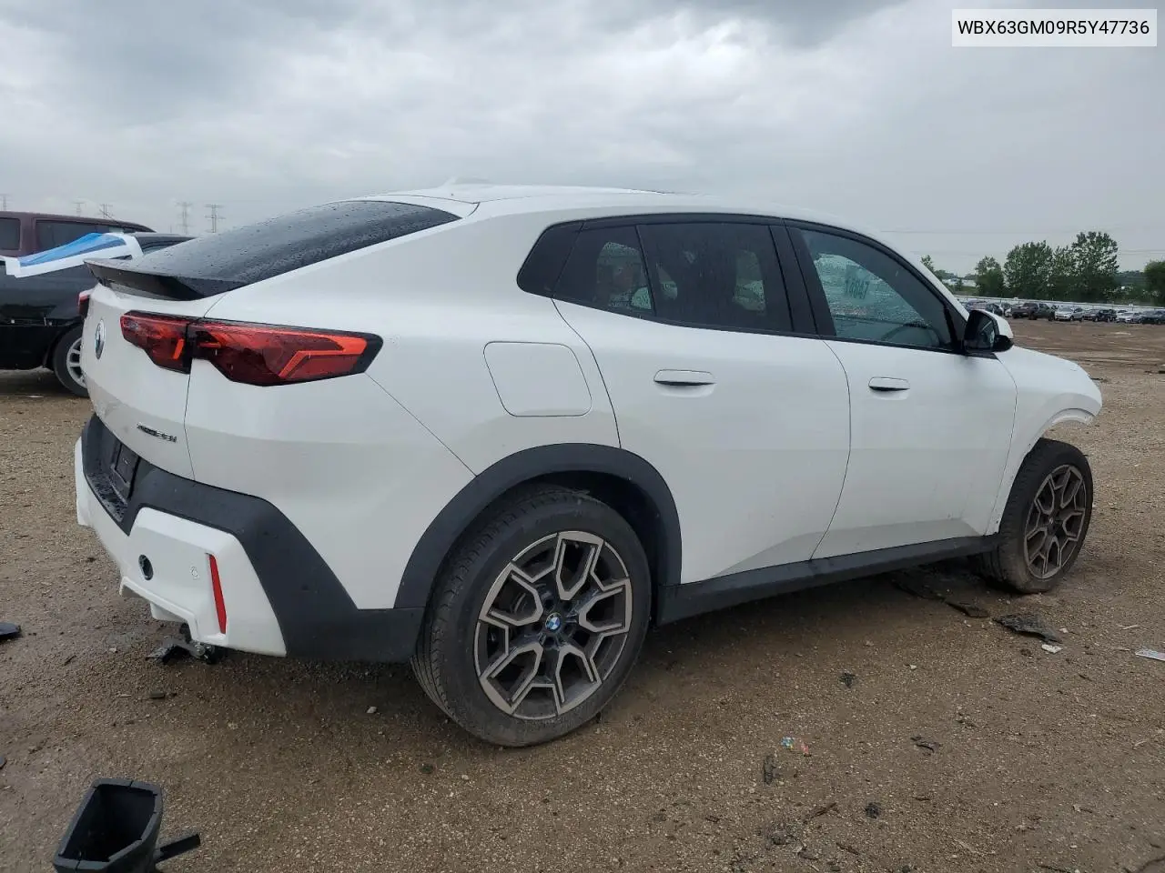 2024 BMW X2 xDrive28I VIN: WBX63GM09R5Y47736 Lot: 61365385
