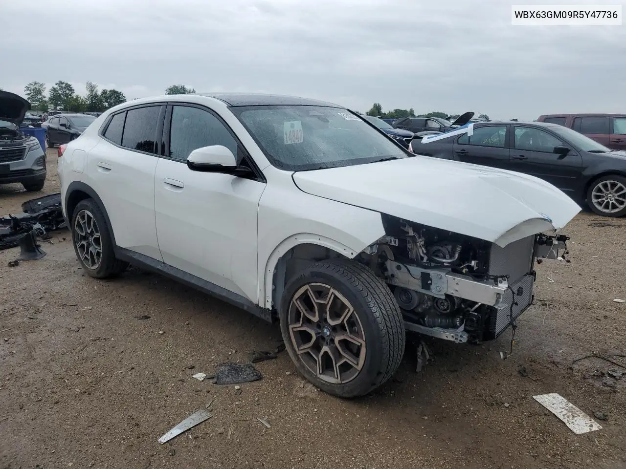 2024 BMW X2 xDrive28I VIN: WBX63GM09R5Y47736 Lot: 61365385