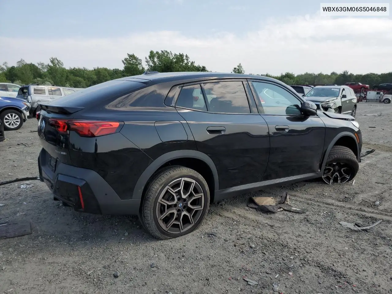 2025 BMW X2 xDrive28I VIN: WBX63GM06S5046848 Lot: 60798225