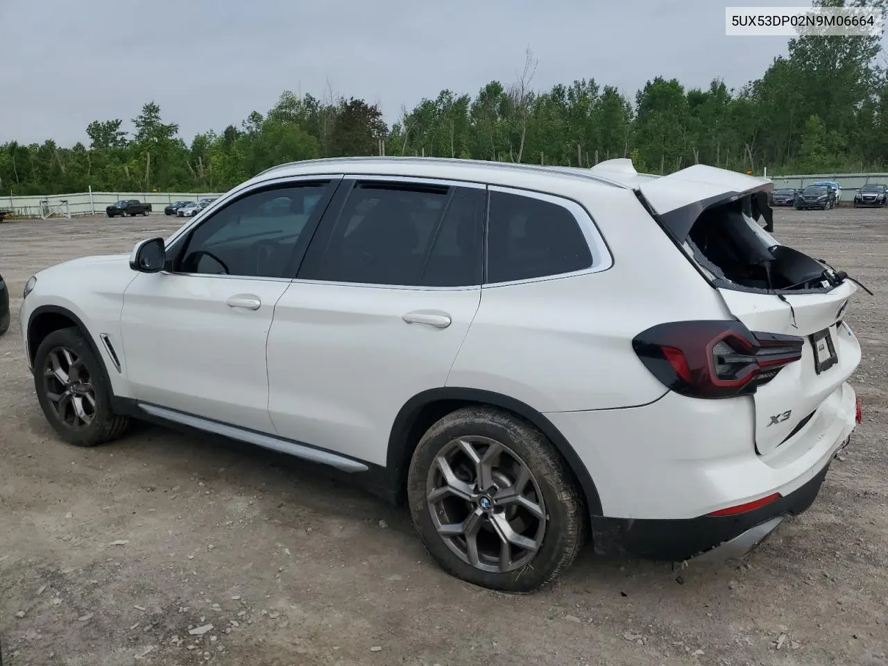 2022 BMW X3 xDrive30I VIN: 5UX53DP02N9M06664 Lot: 62569875