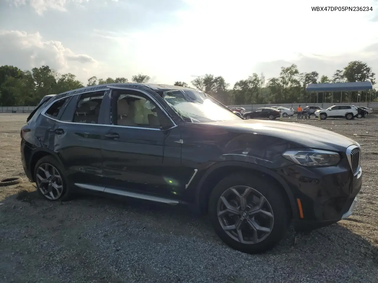 2023 BMW X3 Sdrive30I VIN: WBX47DP05PN236234 Lot: 59903945