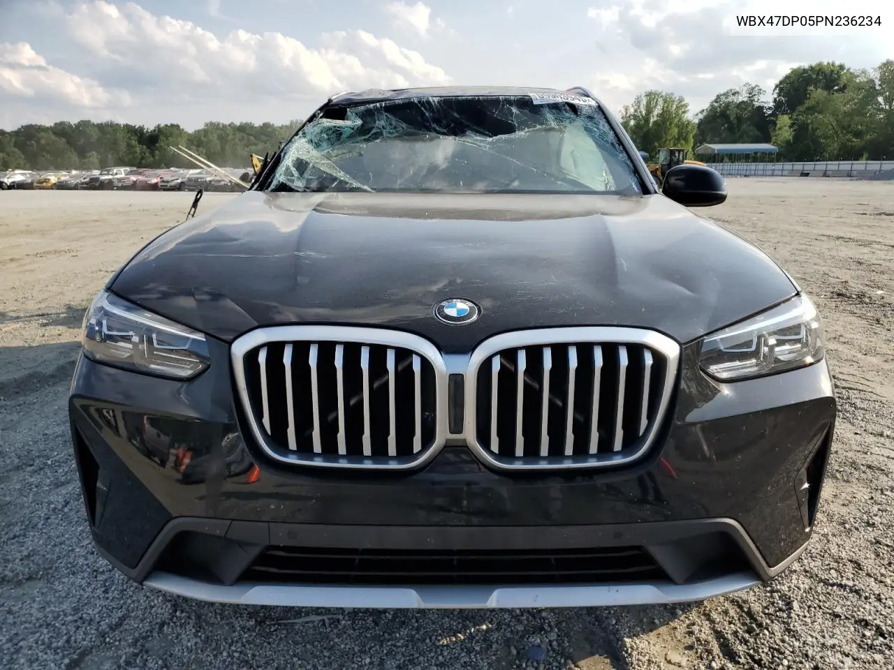 2023 BMW X3 Sdrive30I VIN: WBX47DP05PN236234 Lot: 59903945