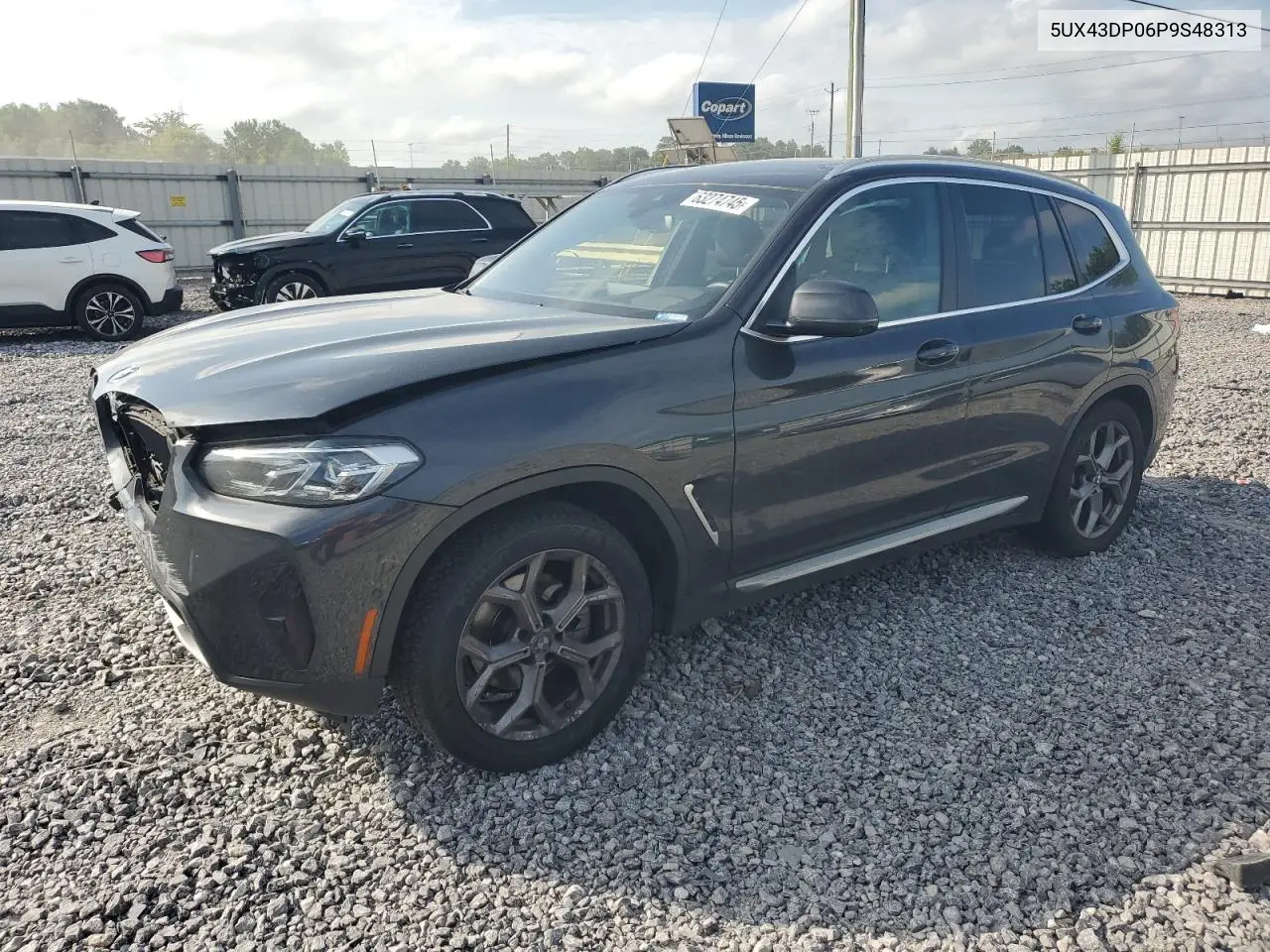 2023 BMW X3 Sdrive30I VIN: 5UX43DP06P9S48313 Lot: 63274745