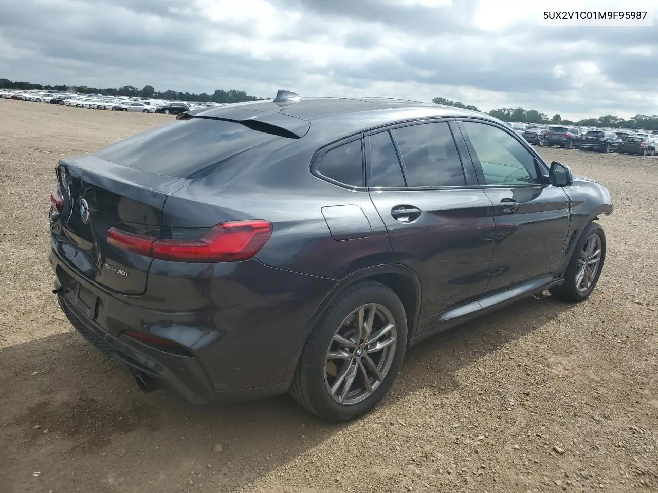2021 BMW X4 xDrive30I VIN: 5UX2V1C01M9F95987 Lot: 62689295