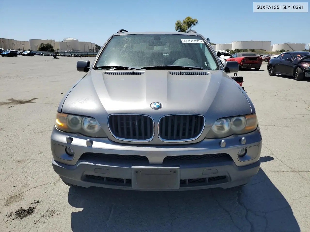 2005 BMW X5 3.0I VIN: 5UXFA13515LY10391 Lot: 56075025
