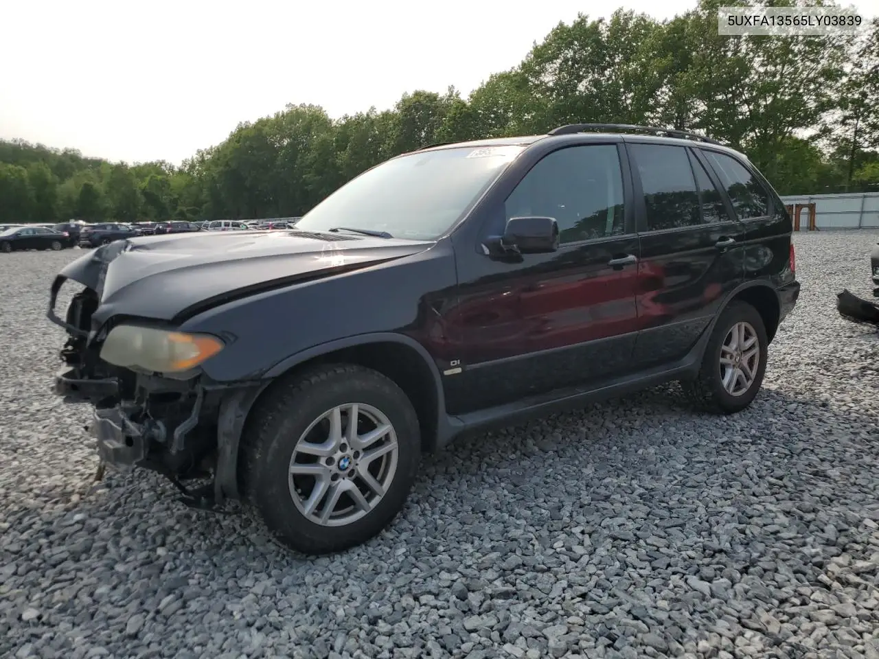 2005 BMW X5 3.0I VIN: 5UXFA13565LY03839 Lot: 59556585